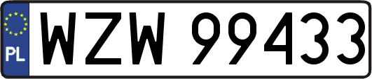 WZW99433