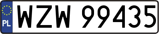 WZW99435