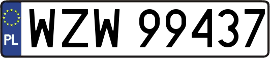 WZW99437