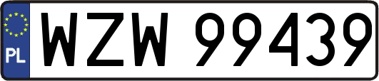 WZW99439