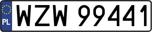WZW99441