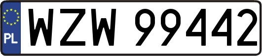 WZW99442