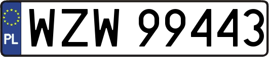 WZW99443