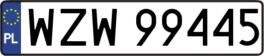 WZW99445