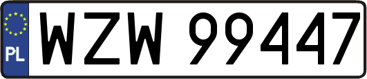 WZW99447