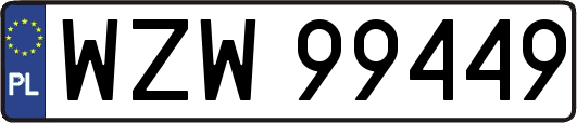 WZW99449