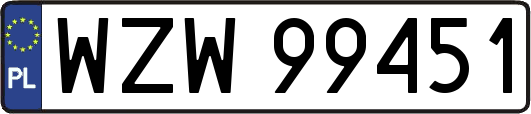 WZW99451