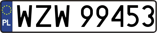 WZW99453