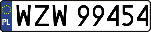 WZW99454