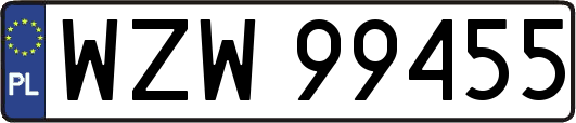 WZW99455