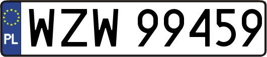 WZW99459