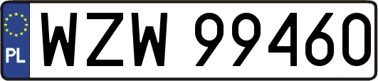 WZW99460