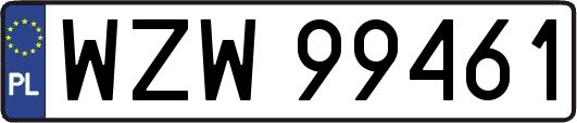 WZW99461