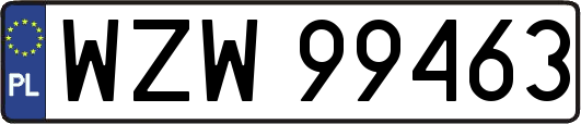 WZW99463