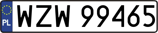 WZW99465