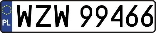WZW99466