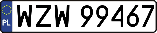 WZW99467