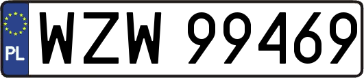 WZW99469