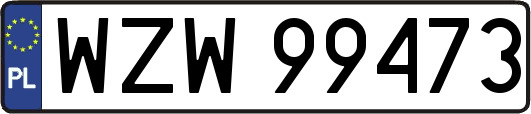 WZW99473