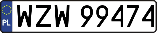 WZW99474