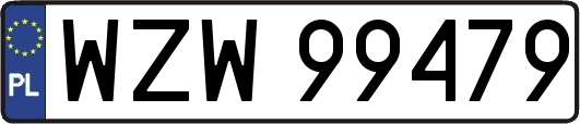 WZW99479