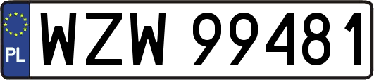 WZW99481