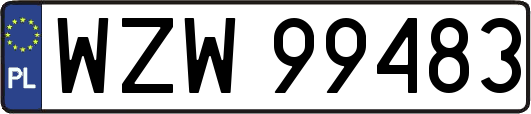WZW99483