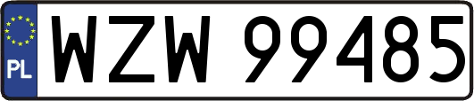 WZW99485
