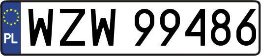 WZW99486