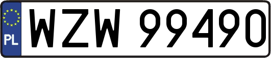 WZW99490