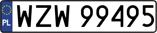 WZW99495