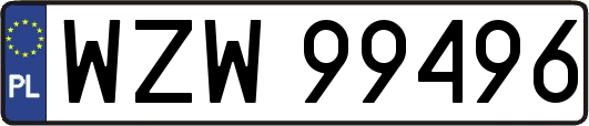 WZW99496