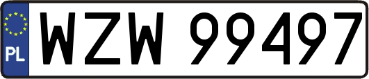 WZW99497