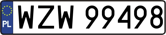 WZW99498