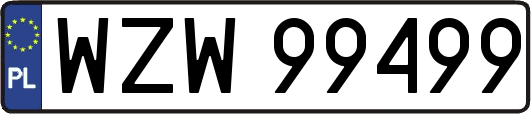 WZW99499