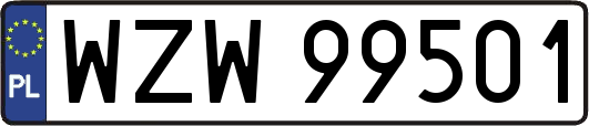 WZW99501