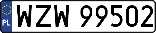 WZW99502