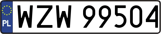 WZW99504