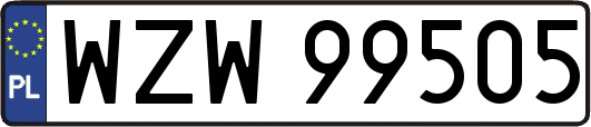 WZW99505
