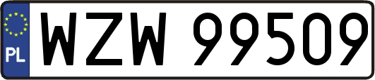 WZW99509