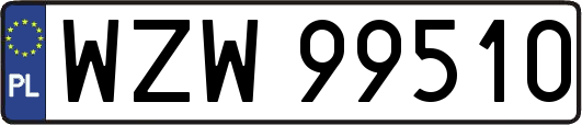 WZW99510