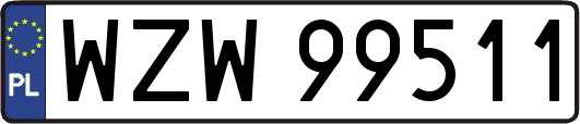 WZW99511