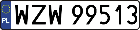 WZW99513