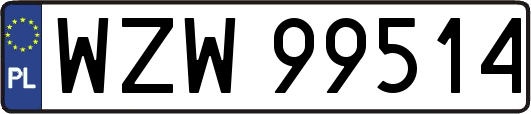 WZW99514