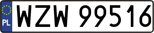 WZW99516