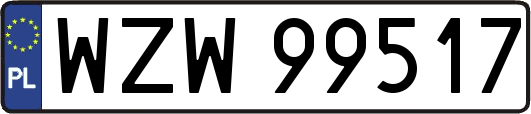 WZW99517