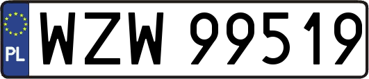 WZW99519