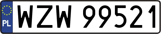 WZW99521