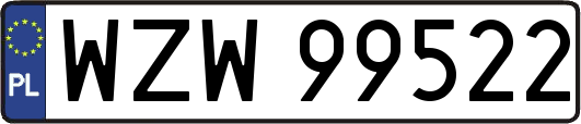 WZW99522