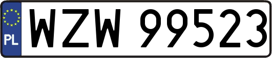 WZW99523